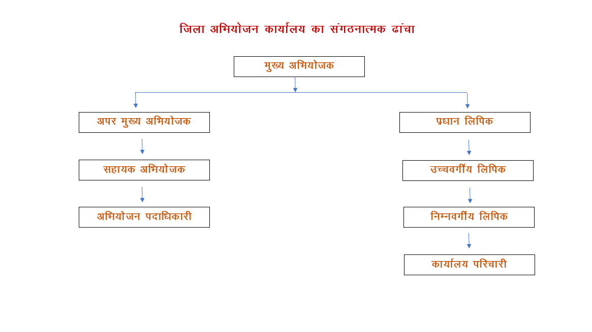 Directorate of Prosecution Team Structure