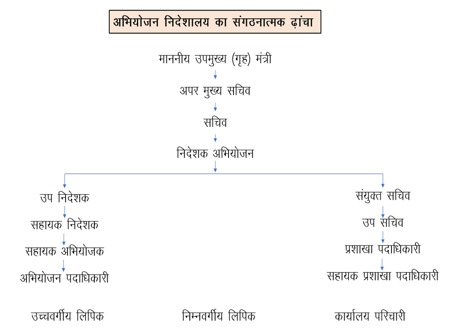 Directorate of Prosecution Organisational Chart